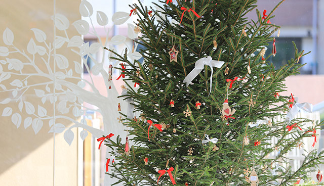 [School] Campus Christmas Tree