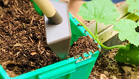 Environmental Protection is a Habit at Newton| Make Compost to Change our Life